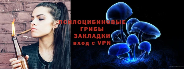 mdma Карпинск