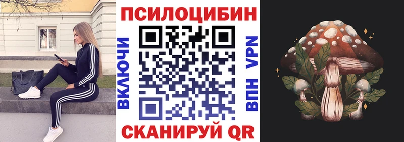 Галлюциногенные грибы Psilocybine cubensis  Купить закладки  Карталы 